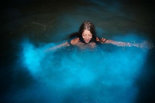 Luminous Lagoon (Glistening Waters) and Rose Great House Haunted Night Tour