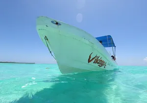 Full Day Guided Tour to Sian Ka'an (short way)