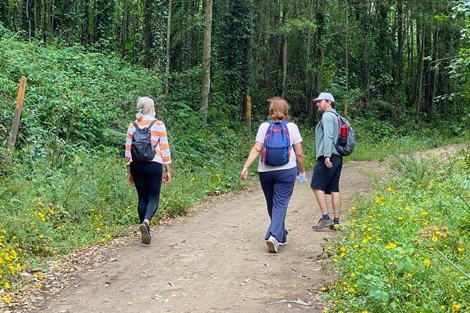Private Half Day Hiking in Sintra-Cascais Natural Park