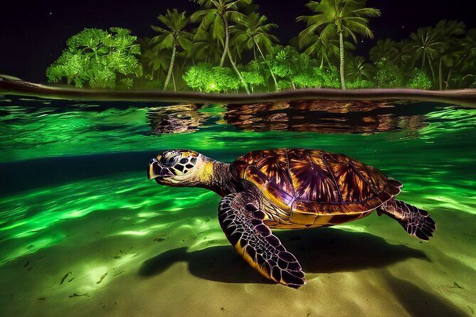 San Juan LED Night Snorkel
