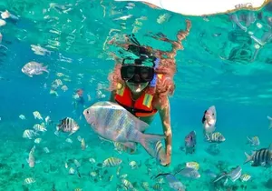 Snorkeling tour Express in Cancun with Certified Guide
