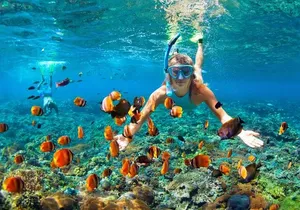 Snorkeling Activity with Boat Ride in Montego Bay