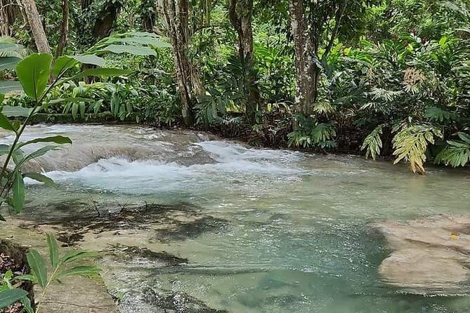 Dunn's River Special