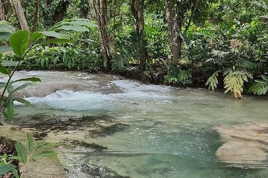 Dunn's River Special