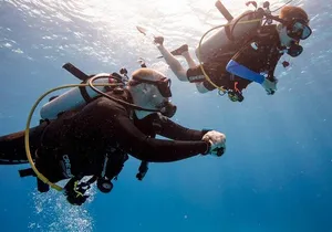 Discover Scuba Diving in Montego Bay-TWO Tank (First time Diving)