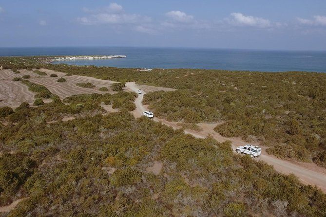 Jeep Safari to Akamas from Limassol