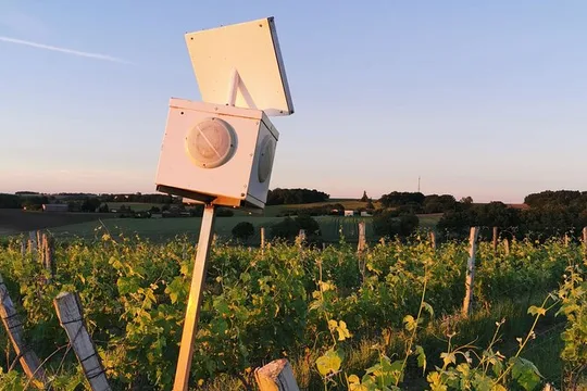 Simple Visit to Discover the Domaine d'Arton
