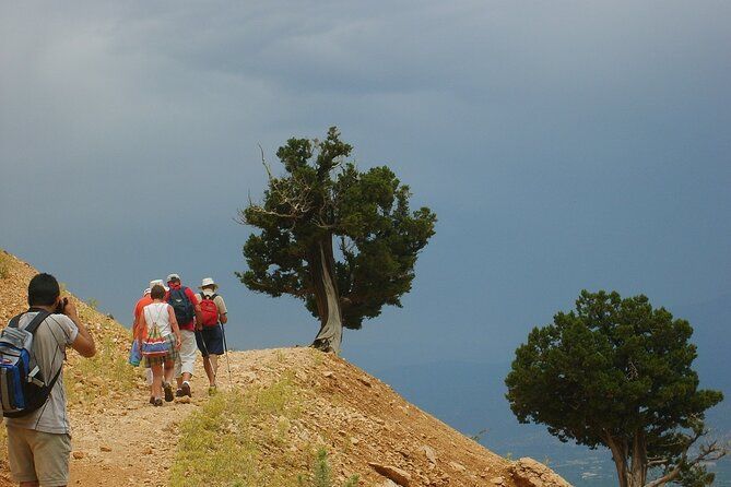 8 Days tour in Kas with Transfer