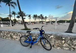 Bicycle Rental in Miami Beach