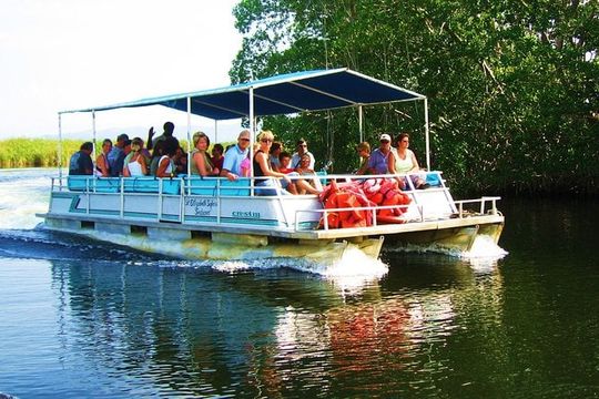 Black River Safari and YS Falls Tour from Montego Bay