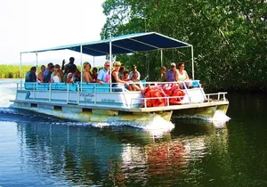 Black River Safari and YS Falls Tour from Montego Bay