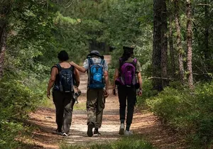 Fox Canyon Adventure Trek: Los Cabos Full-Day Tour