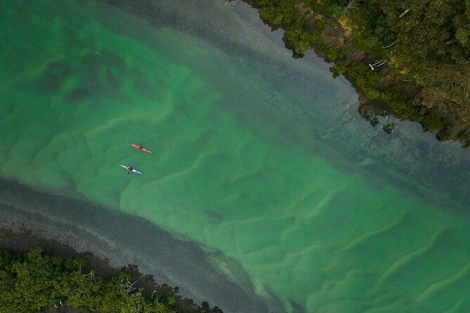 Bermagui River Kayak Tour