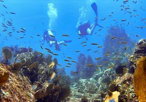 Kauai Scuba Diving for Beginners