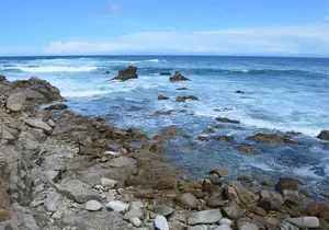 Small Group | 1 Day Tour Through Monterey From San Francisco