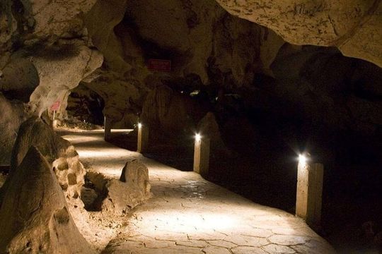 Green Grotto Cave and Dunn's River Falls from Montego Bay