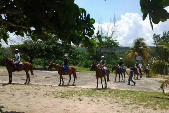 Horseback Riding and Swim from Montego Bay