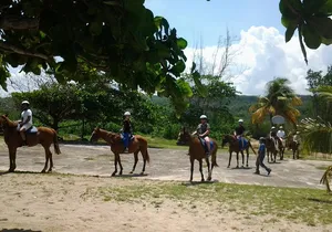 Horseback Riding and Swim from Montego Bay