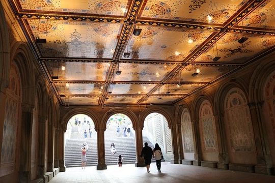 Central Park VIP Tour (All park tour up to 2 hour with unlimited stops) pedicab