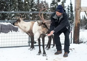 Reindeer Meet and Greet