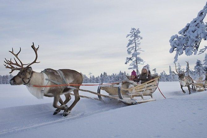 Lapland Reindeer Safari From Saariselkä