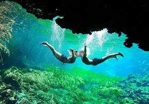 Underground Cenotes Snorkeling Tour with Mayan Snack
