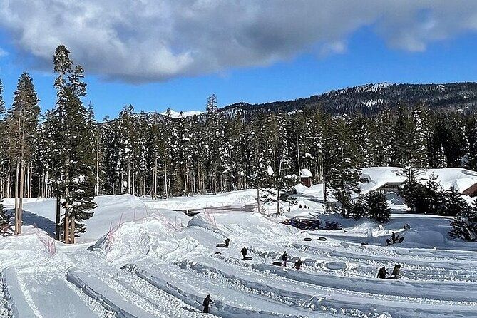 Full Day Private Lake Tahoe Tour from Oakland