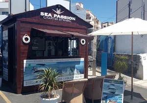 Whale watching and snorkelling in the whale sanctuary