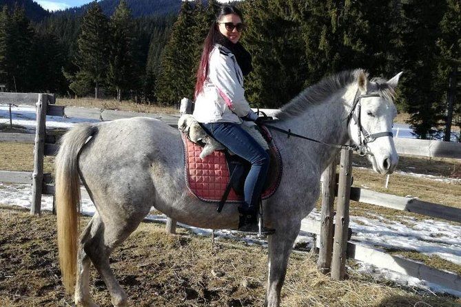 Private Horse Riding near Rhodope Mountains from Plovdiv