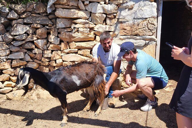 Private E-bike Guided Ode-yssey Uncharted Tour in Naxos