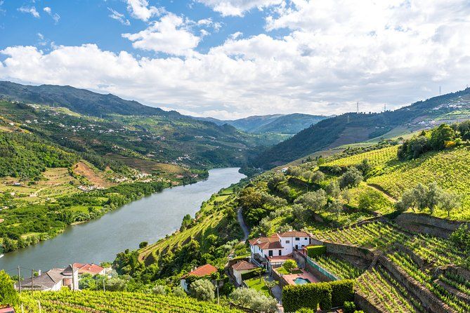 Porto: Day Trip to Douro including lunch and Rivercruise