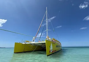 PARTY Catamaran Cruise with Snorkeling Rick's Cafe ADULTS ONLY