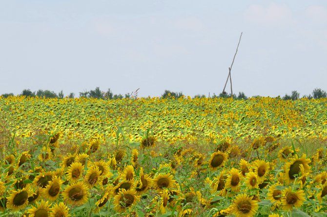 100 km by bike near Bucharest