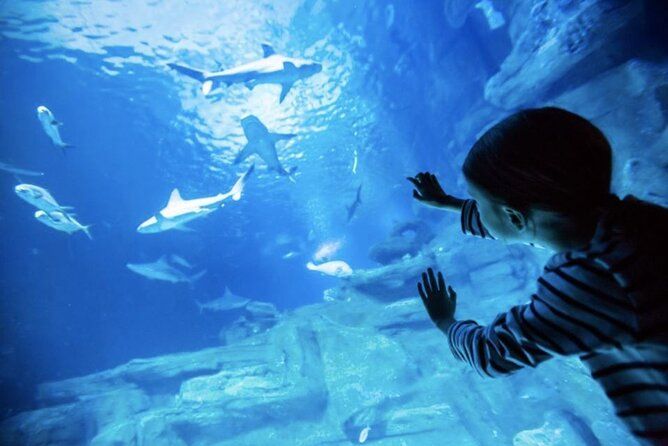 Family Package up to 15 bodrum city Tour for crusiers/port/hotels