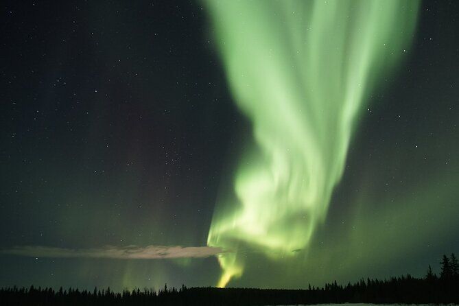 Aurora Hunting Photo Tour from Rovaniemi with Pickup
