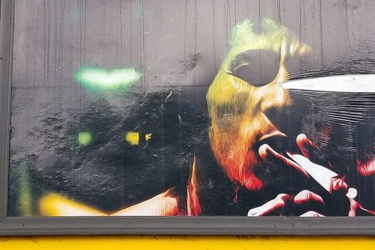 6. Bob Marley 9miles/Dunn's River Private Tour(420 Friendly)final resting place