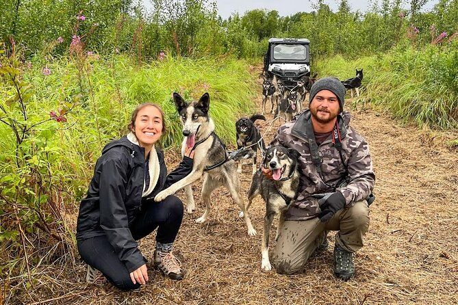 Dryland Dog Sled Tour