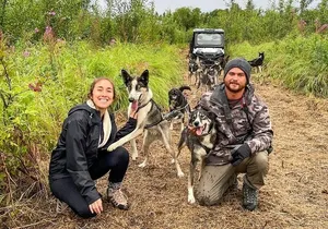 Dryland Dog Sled Tour