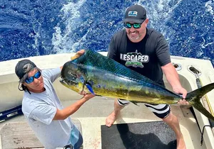 Full Day Sport Fishing Charter Honolulu