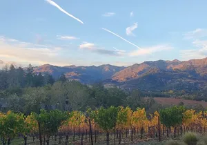 Napa and Sonoma Private Transportation