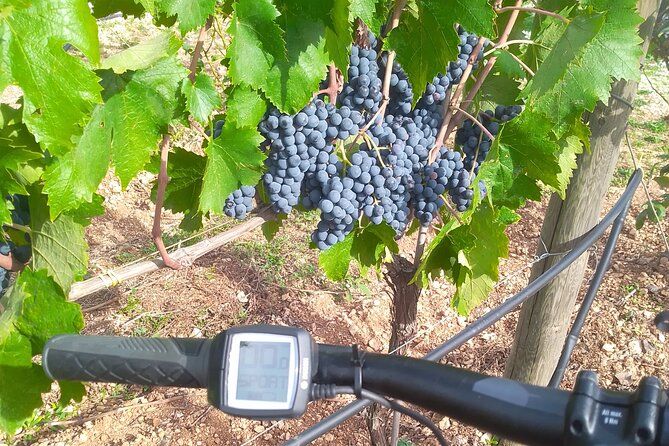 Discover Valle d 'Itria and its wines by ebike
