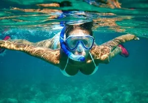 Snorkeling Experience in Cabo San Lucas (4 hours)