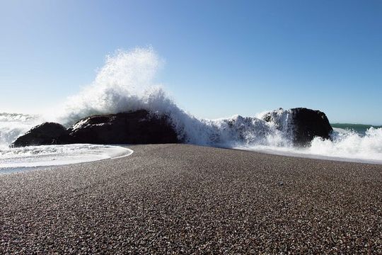 Hidden Sonoma County: Redwoods, Cheese, Coast, and Artisan Picnic