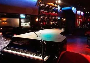 Greenwich Village Piano Bar Crawl