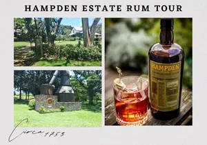 Private Hampden Estate Rum Tour from Montego Bay or Falmouth