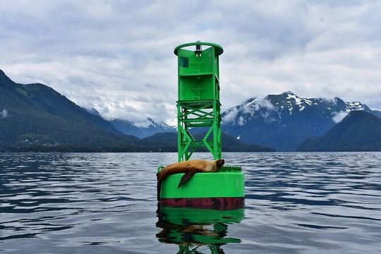 Island Discovery Kayak Paddle in Sitka, Alaska