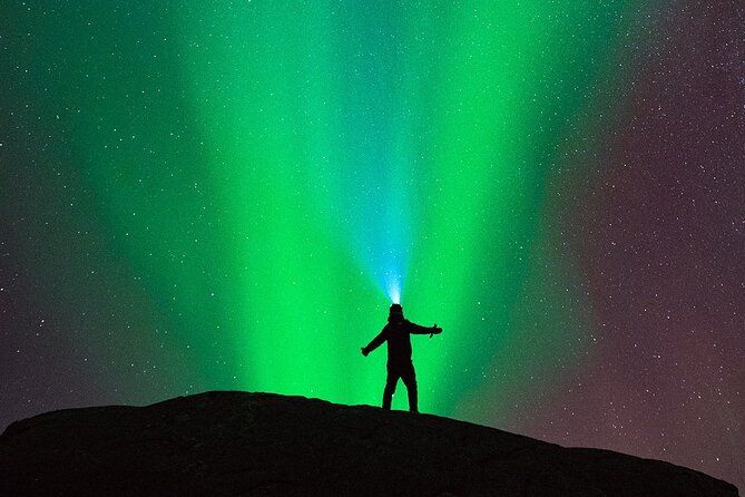 Ultimate Aurora Hunt Northern Lights Van Tour with Hot Drinks