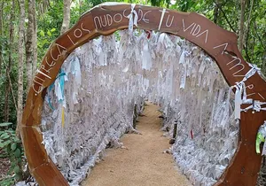 Transportation to the Shrine of Mary Undoer of Knots in Cancun