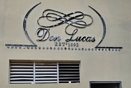 Buggy, horse and plantations