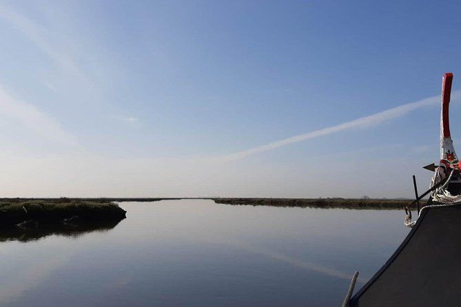 Moliceiro boat tour through the Ria de Aveiro!